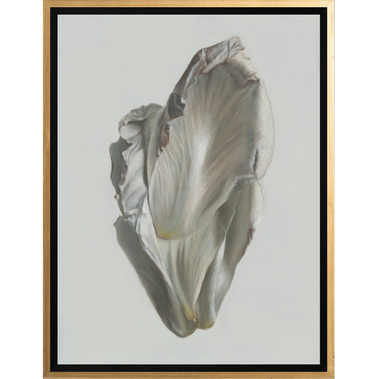 Peony Petals No. 8 Framed Canvas Print