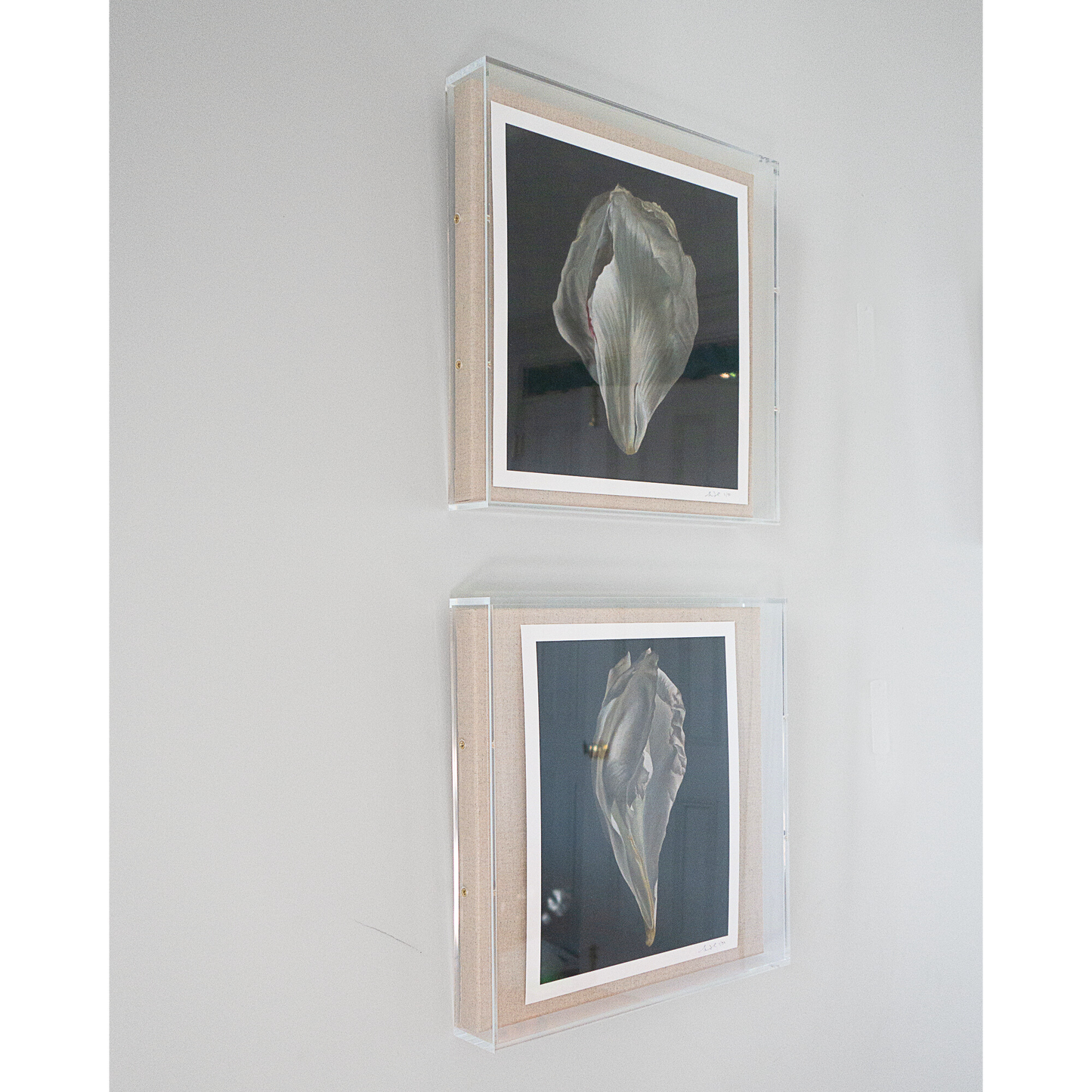 Load image into Gallery viewer, &amp;#39;Peony Petal No. 1&amp;#39; Limited Edition Print
