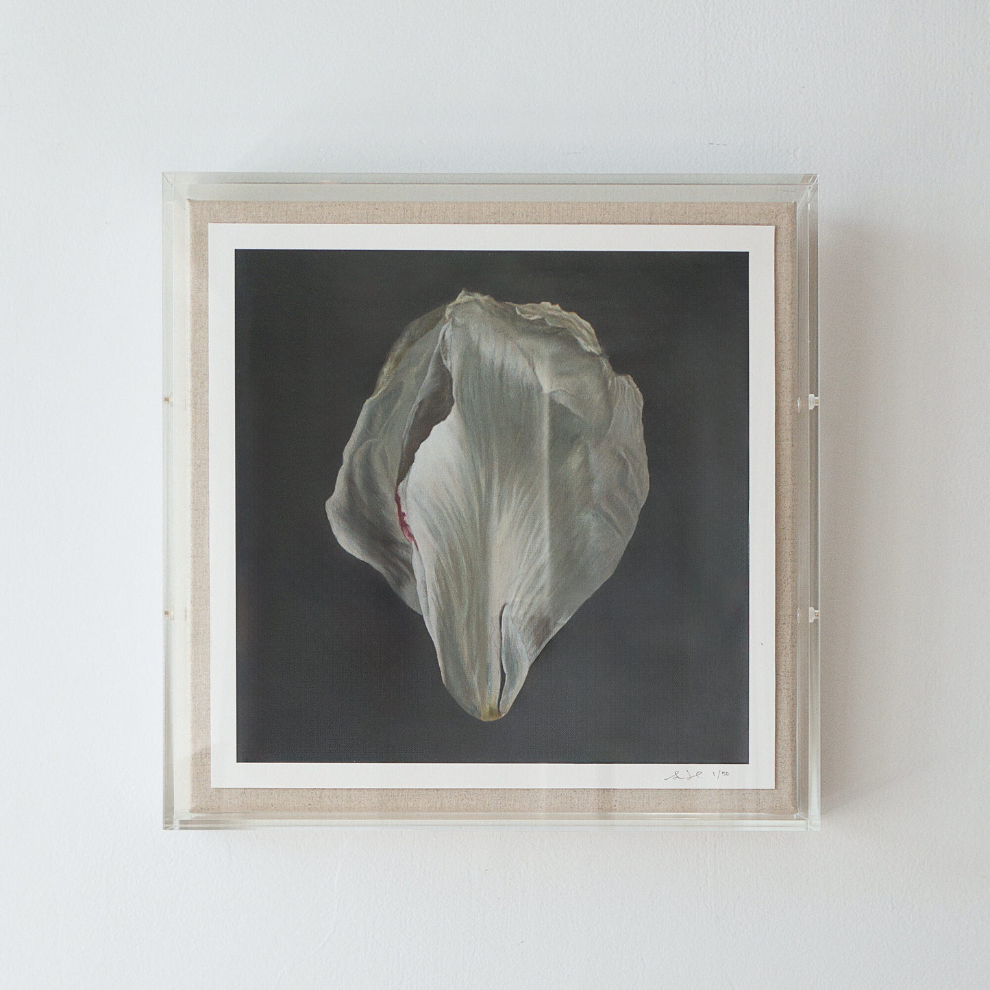 'Peony Petal No. 1' Limited Edition Print