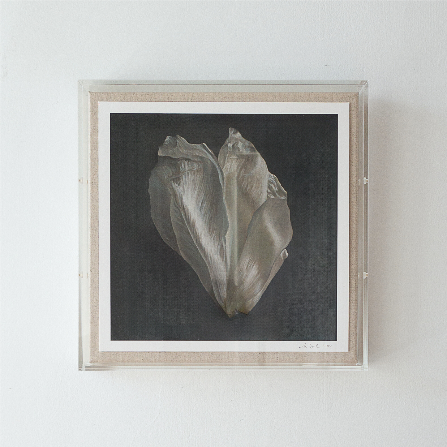 Load image into Gallery viewer, &amp;#39;Peony Petal No. 3&amp;#39; Limited Edition Print
