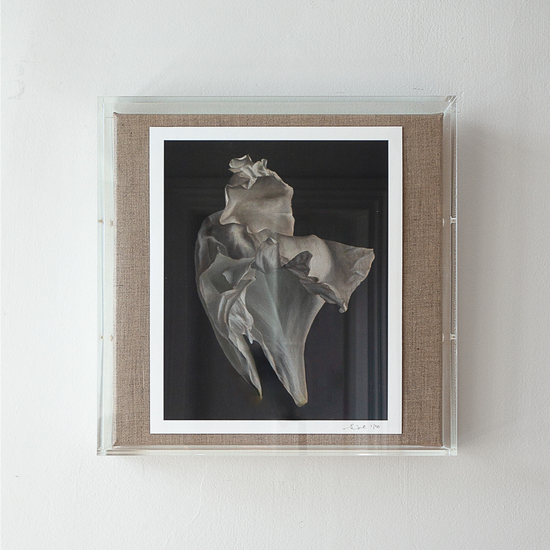 Load image into Gallery viewer, &amp;#39;Peony Petal No. 4&amp;#39; Limited Edition Print
