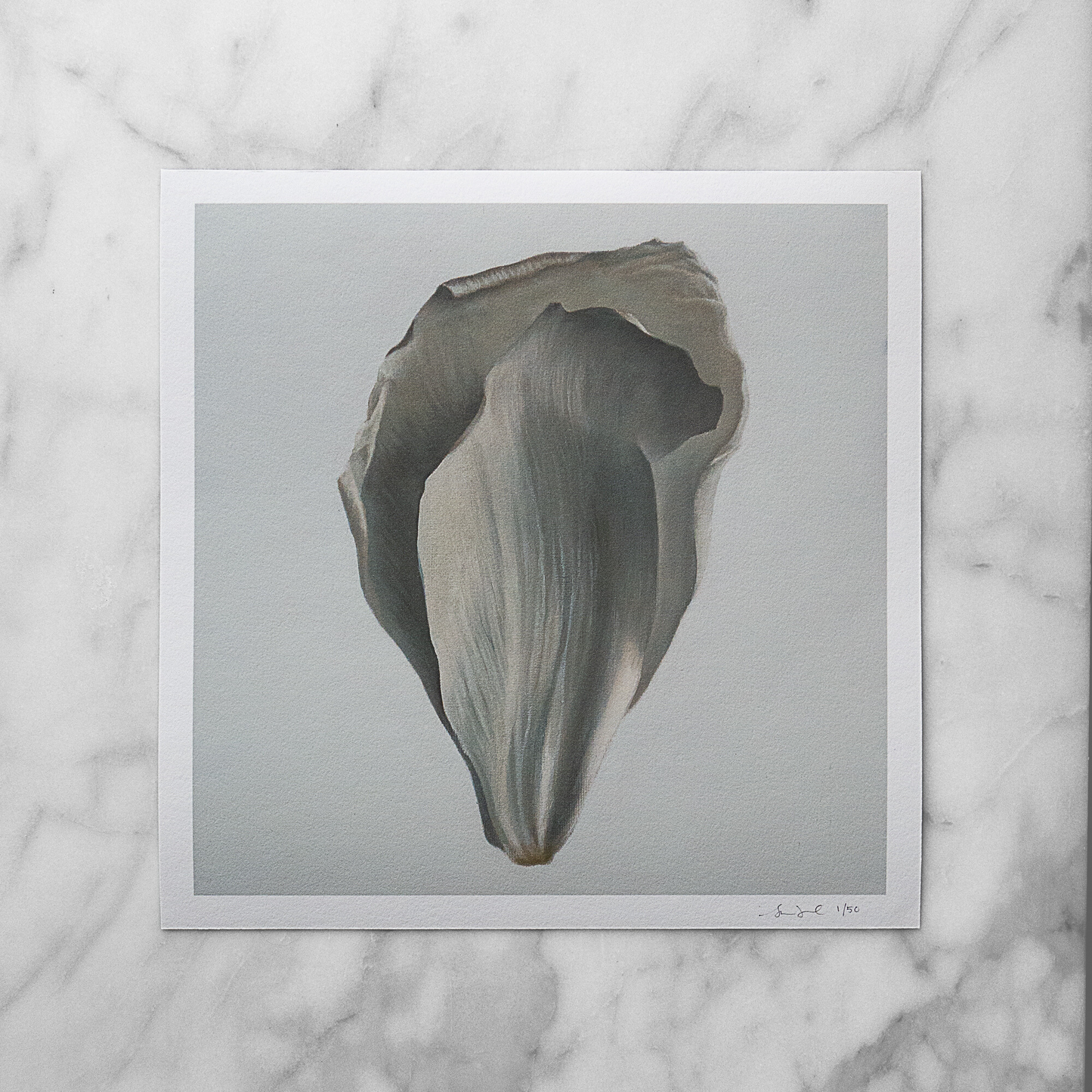 Load image into Gallery viewer, &amp;#39;Peony Petal No. 5&amp;#39; Limited Edition Print
