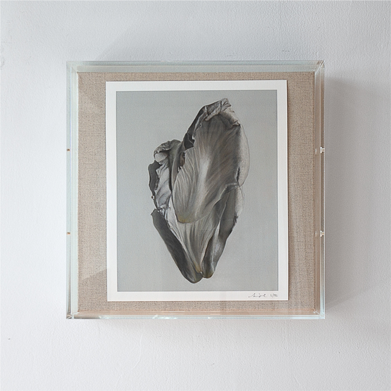 Load image into Gallery viewer, &amp;#39;Peony Petal No. 8&amp;#39; Limited Edition Print
