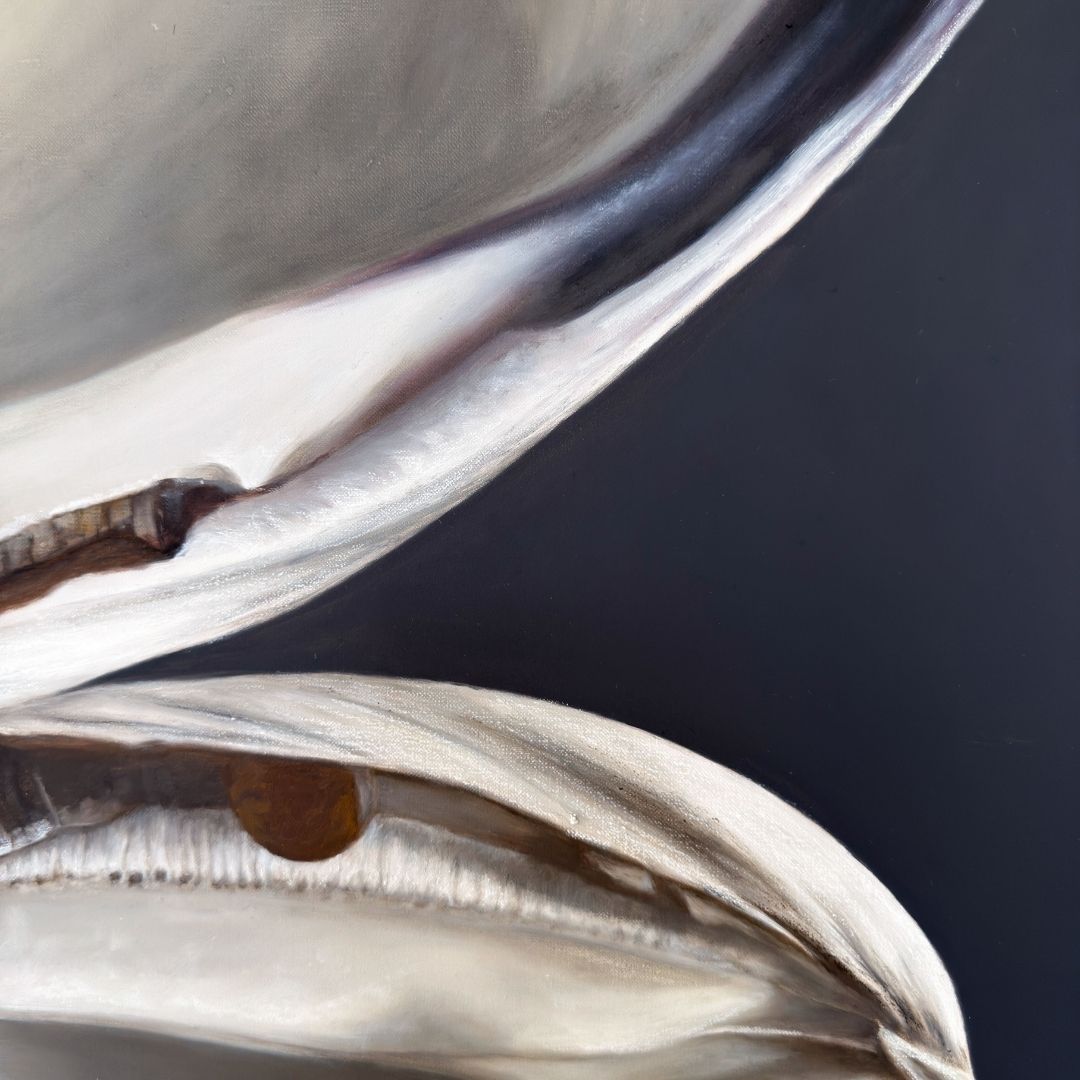 Quahog Shell Duo