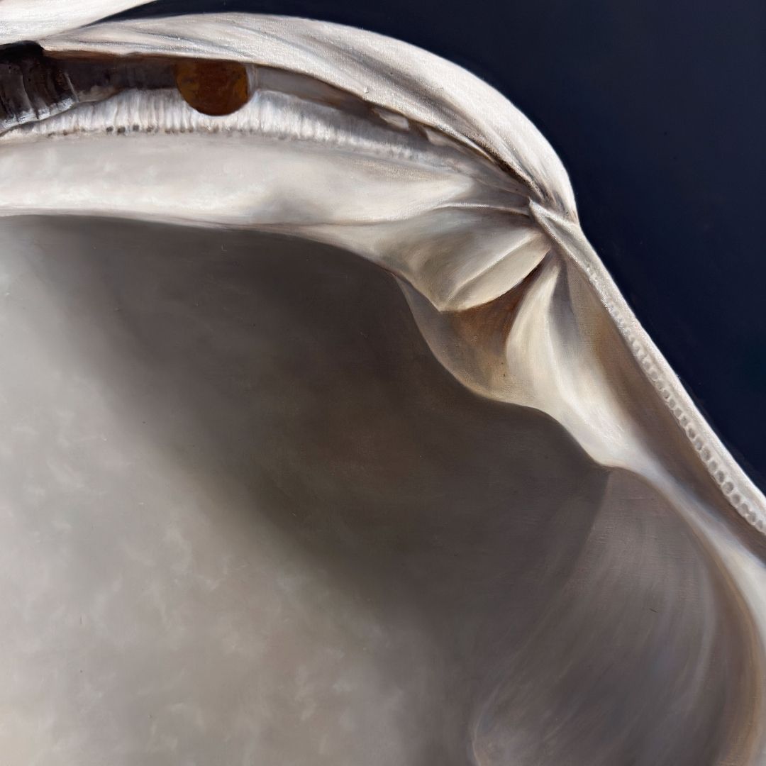 Quahog Shell Duo