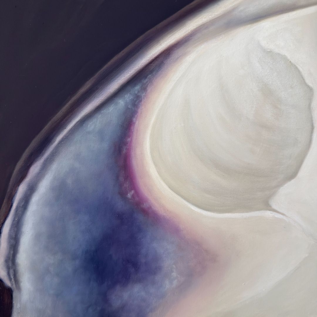 Quahog Shell Duo