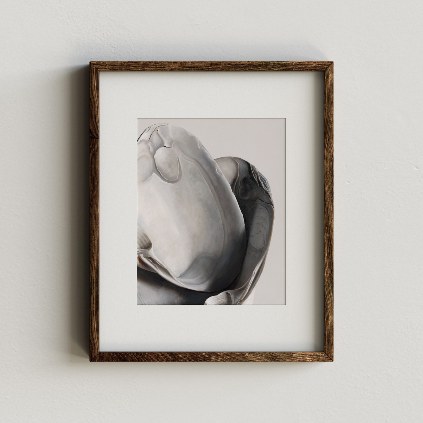 'Surf Clam Pair No. 1' Limited Edition Print