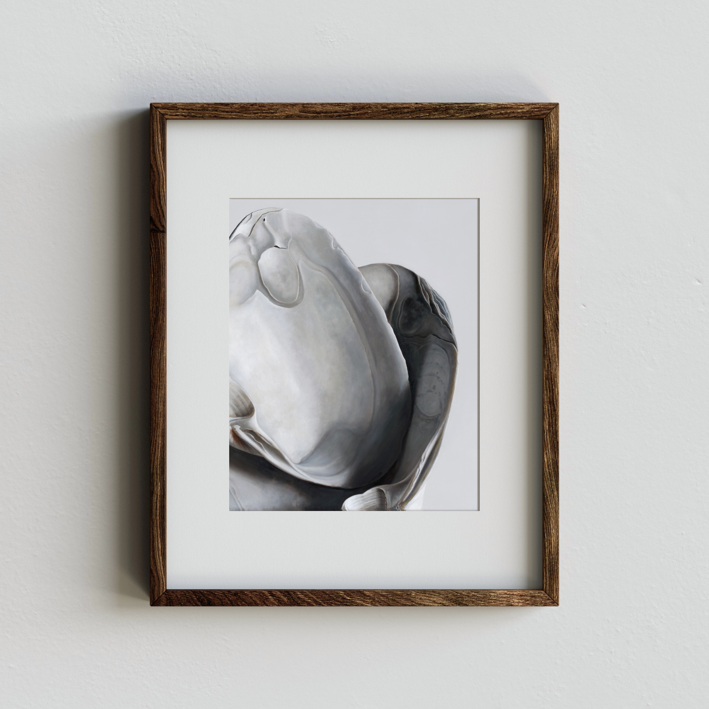 'Surf Clam Pair No. 1' Limited Edition Print