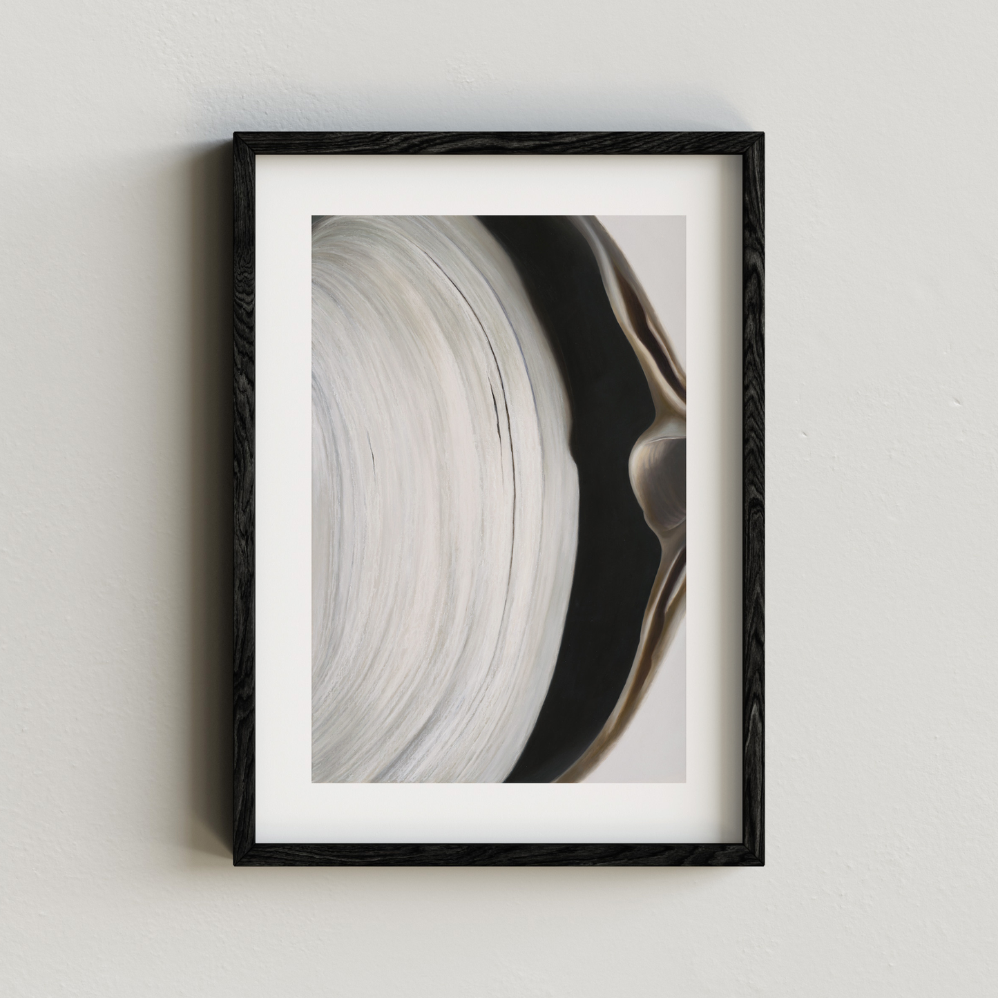'Surf Clam Pair No. 2' Limited Edition Print
