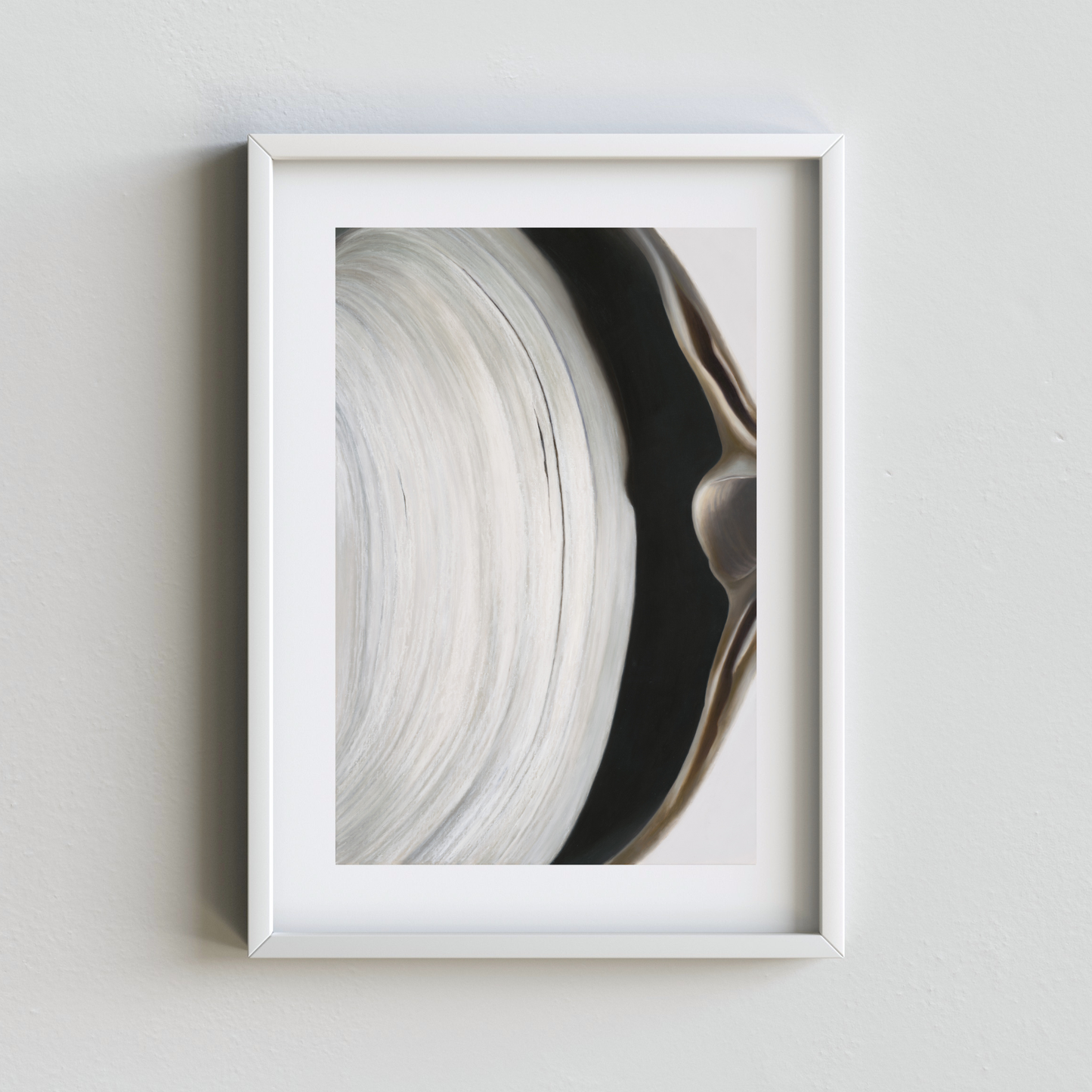 Surf Clams, Driftwood & Bones Set of Four