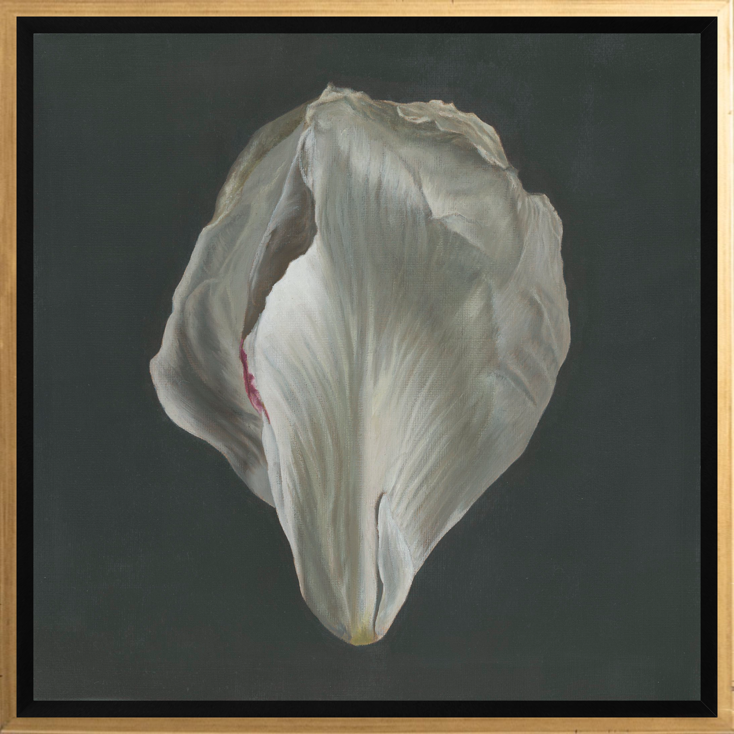 Peony Petals No. 1 Framed Canvas Print