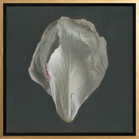 Peony Petals No. 1 Framed Canvas Print