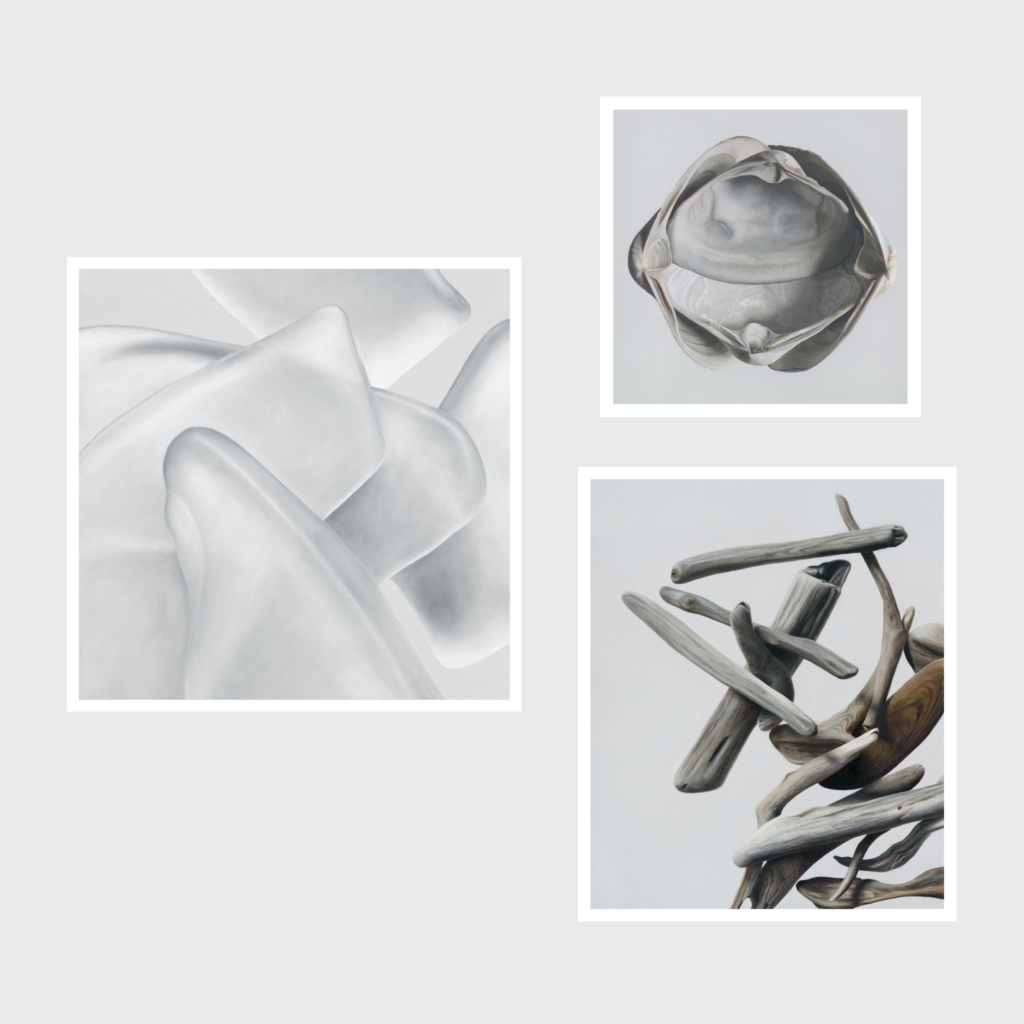 Cradled Surf Clams | Sea Glass No. 6 | Driftwood No. 1 Triptych