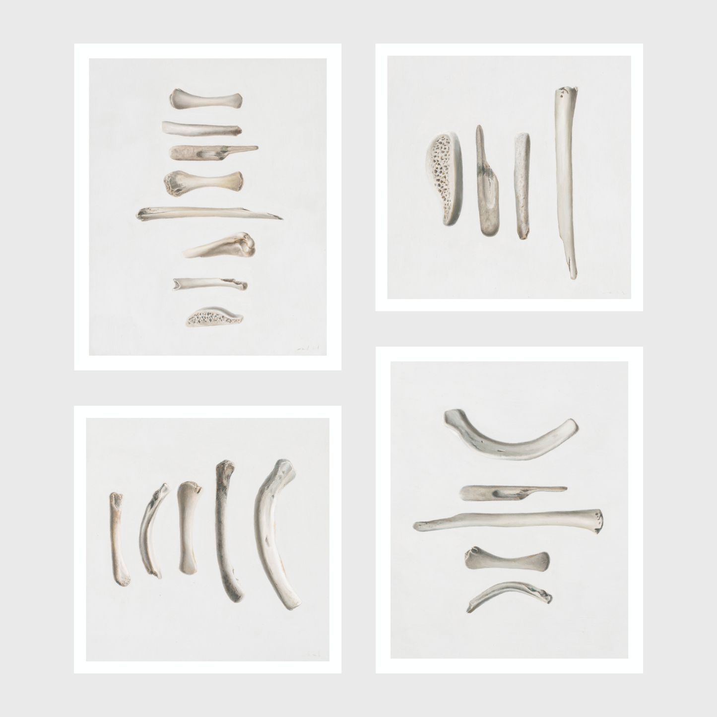 Set of Four Bones
