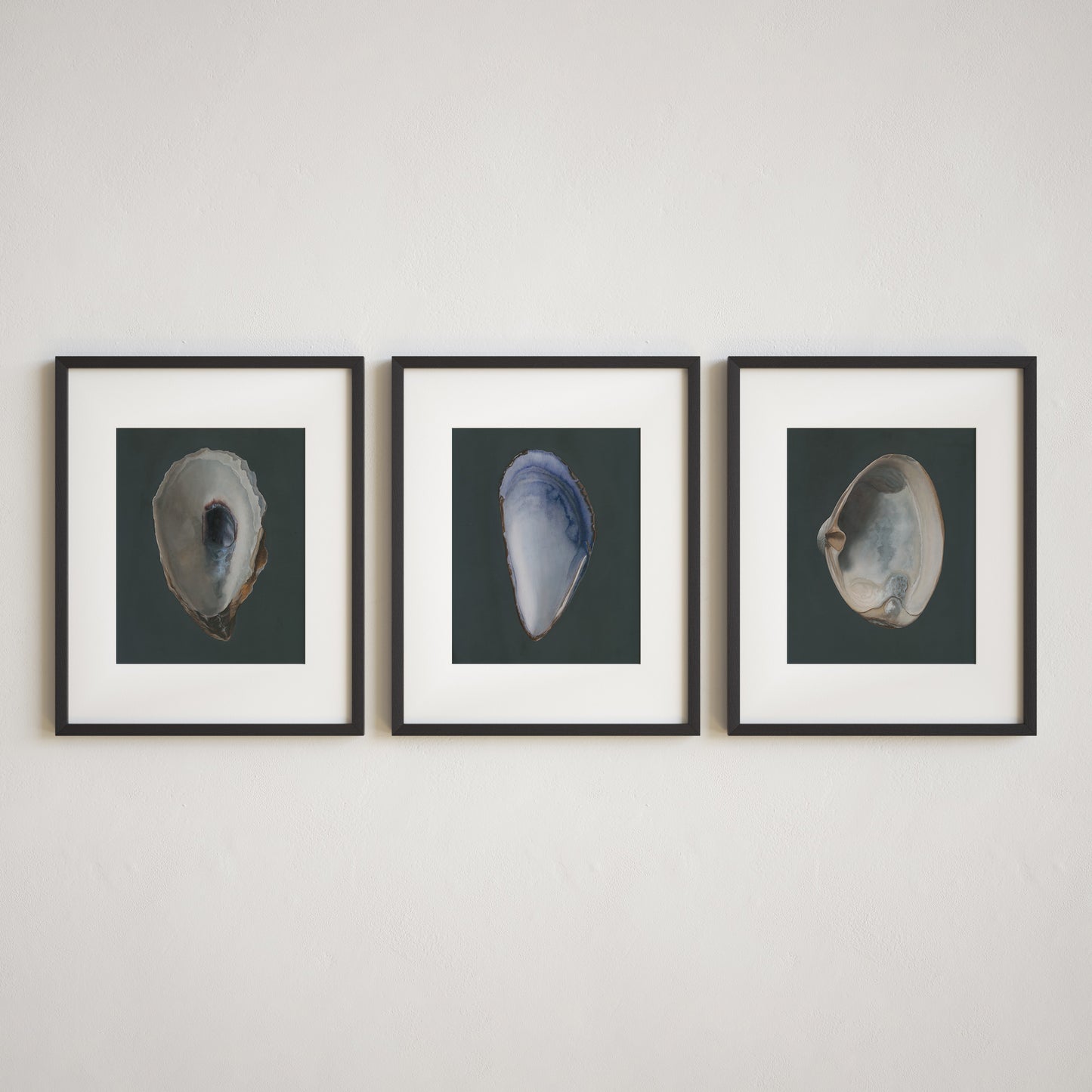Load image into Gallery viewer, Set of 3 Shell Limited Edition Prints
