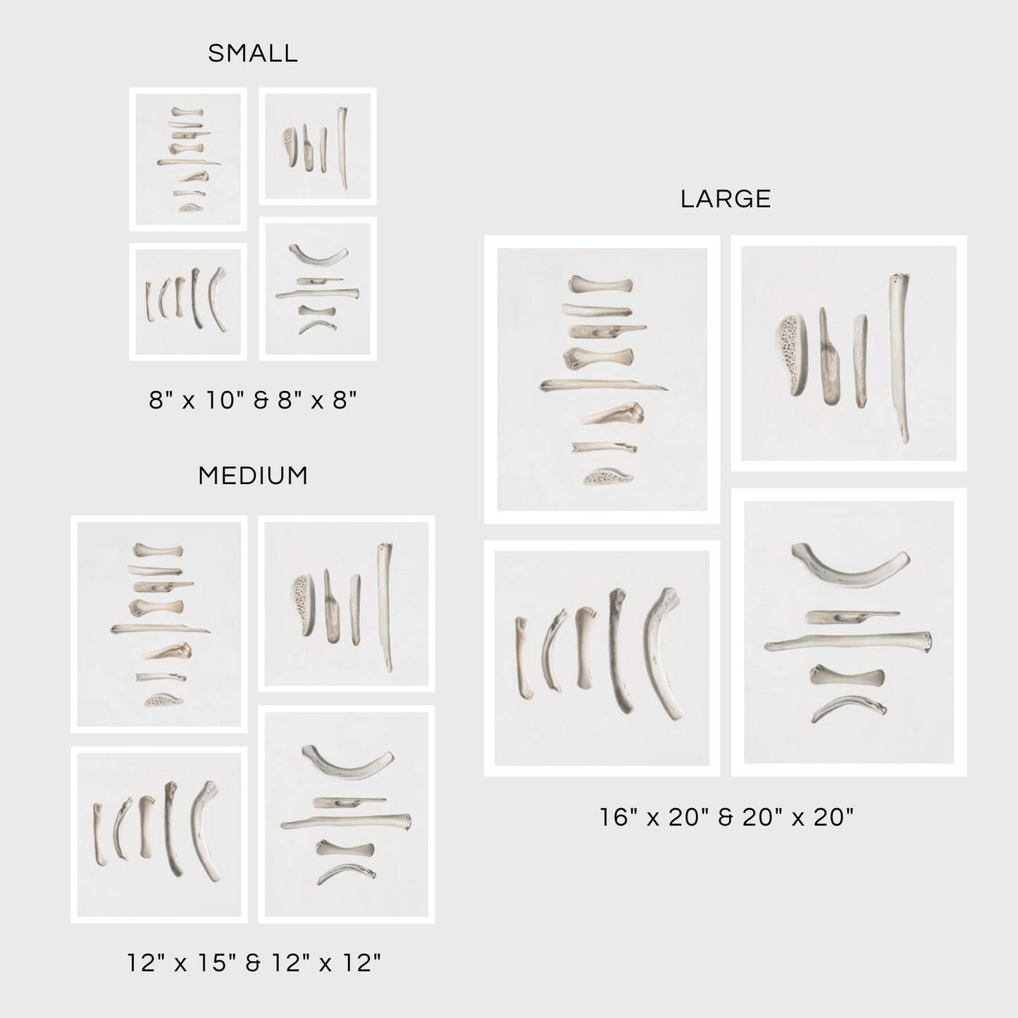 Set of Four Bones
