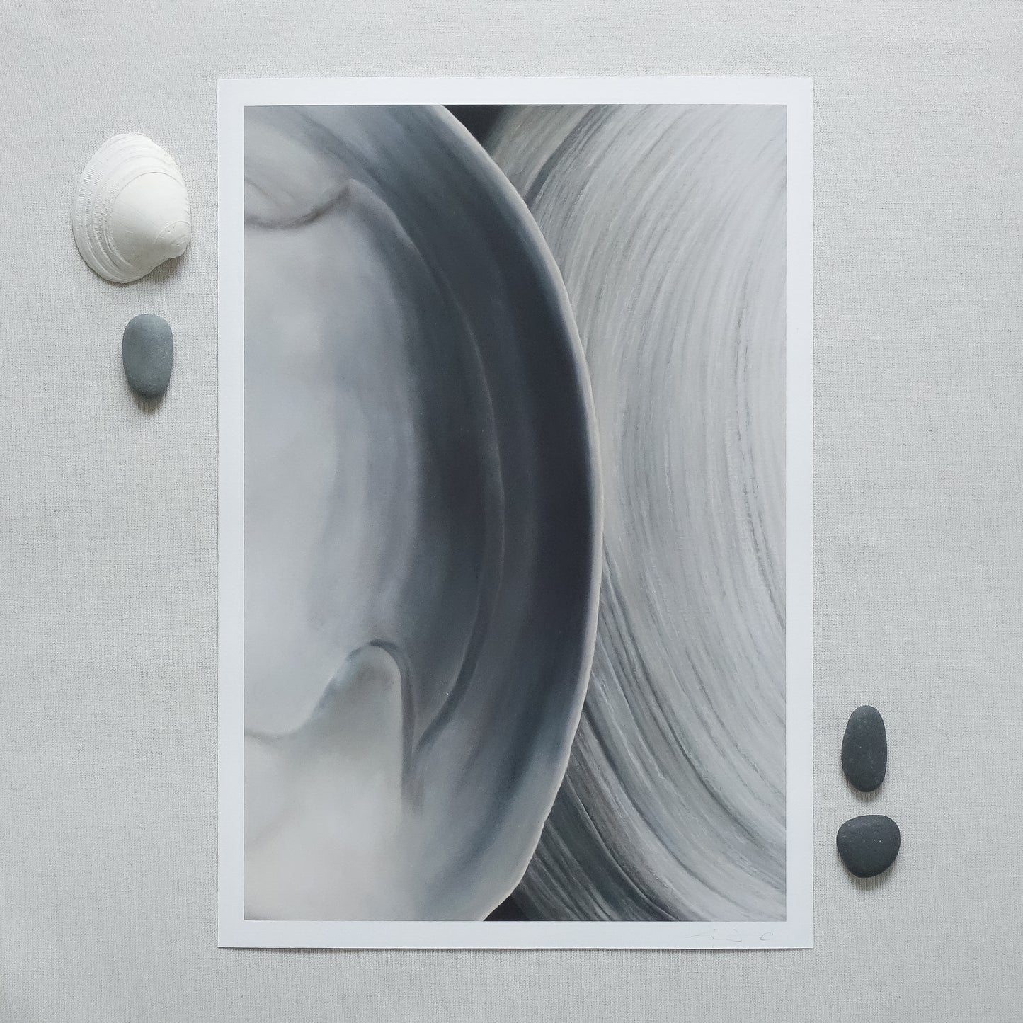 'Surf Clam Pair No. 3' Limited Edition Print
