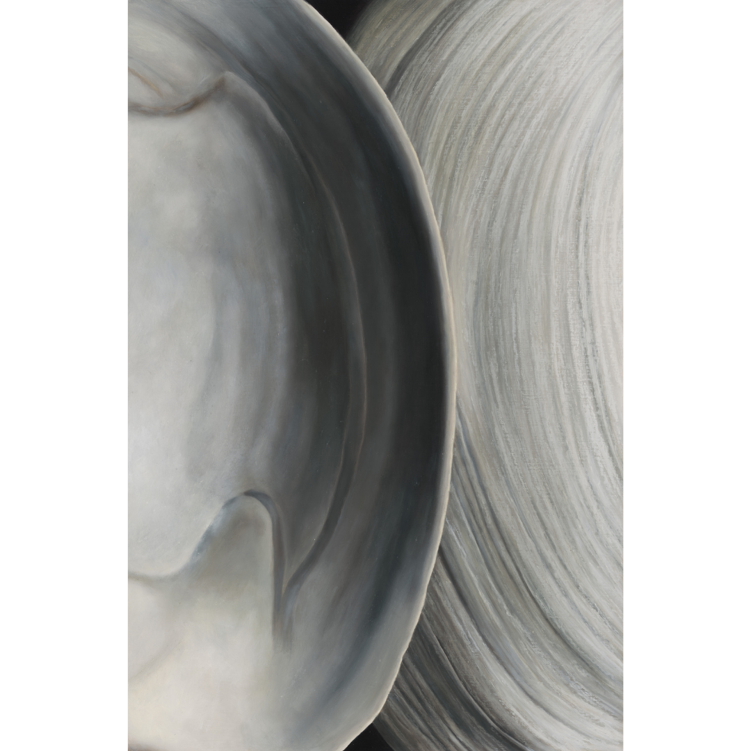 Surf Clam Pair No. 3