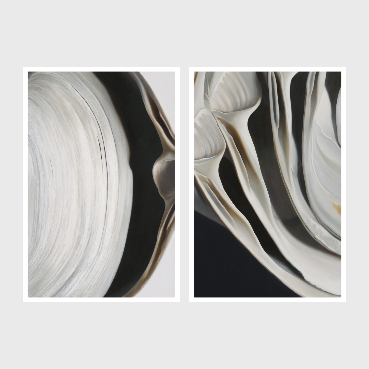 Surf Clam Pair No. 2 | Nested Surf Clams No. 7 Diptych