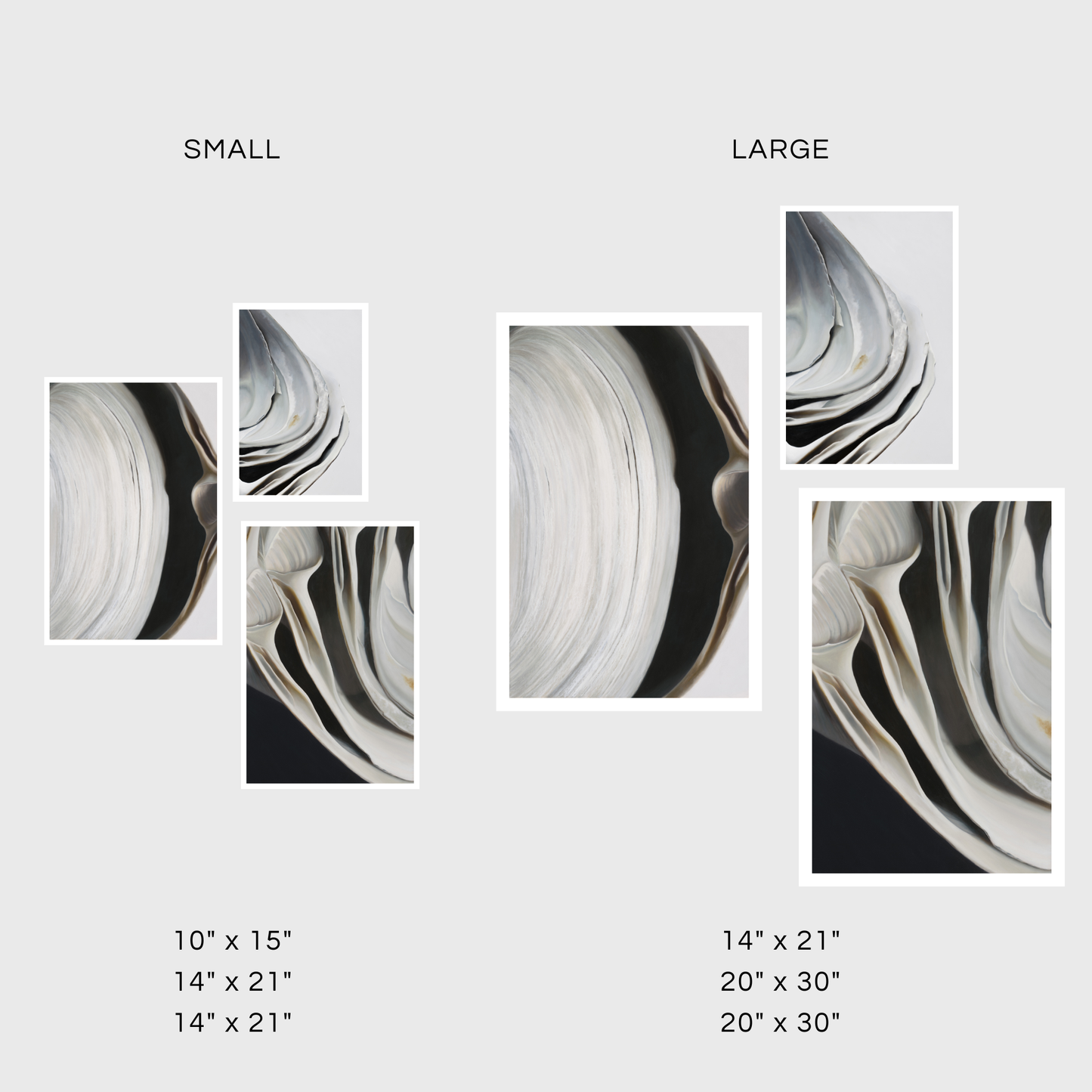 Surf Clam Pair No. 2 | Nested Surf Clams No. 7 | Nested Surf Clams No. 6 Triptych