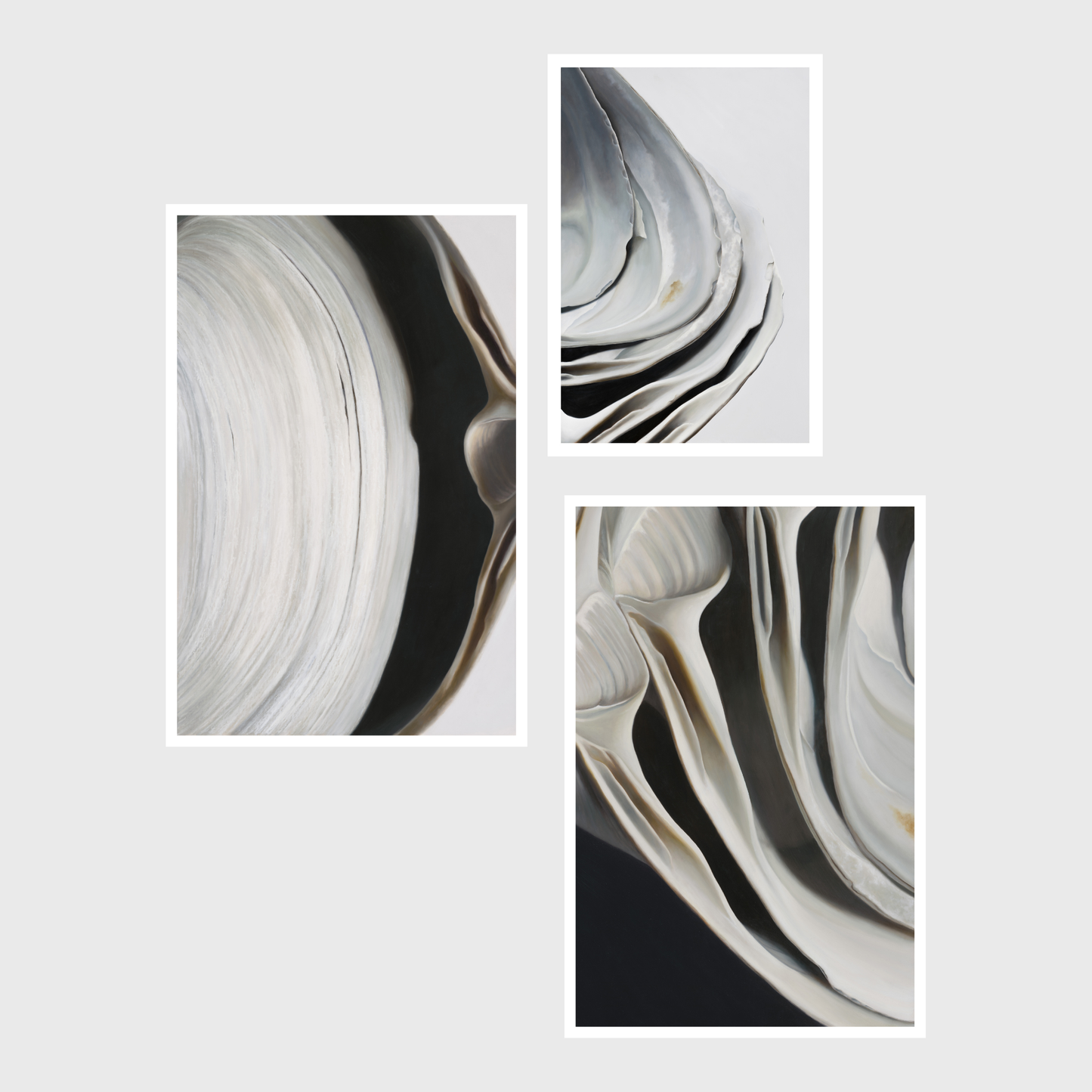 Surf Clam Pair No. 2 | Nested Surf Clams No. 7 | Nested Surf Clams No. 6 Triptych