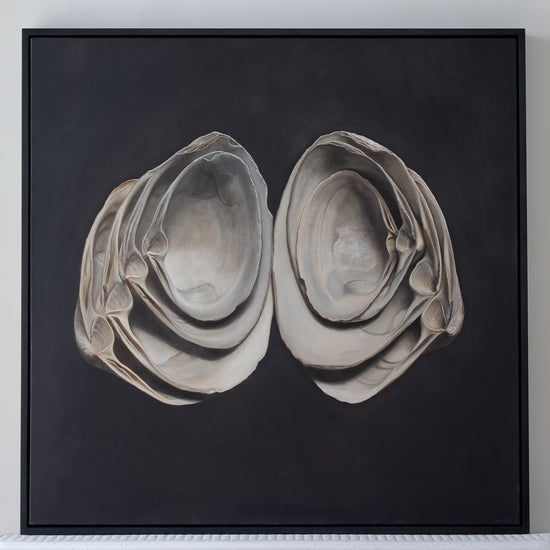Cupped Surf Clams