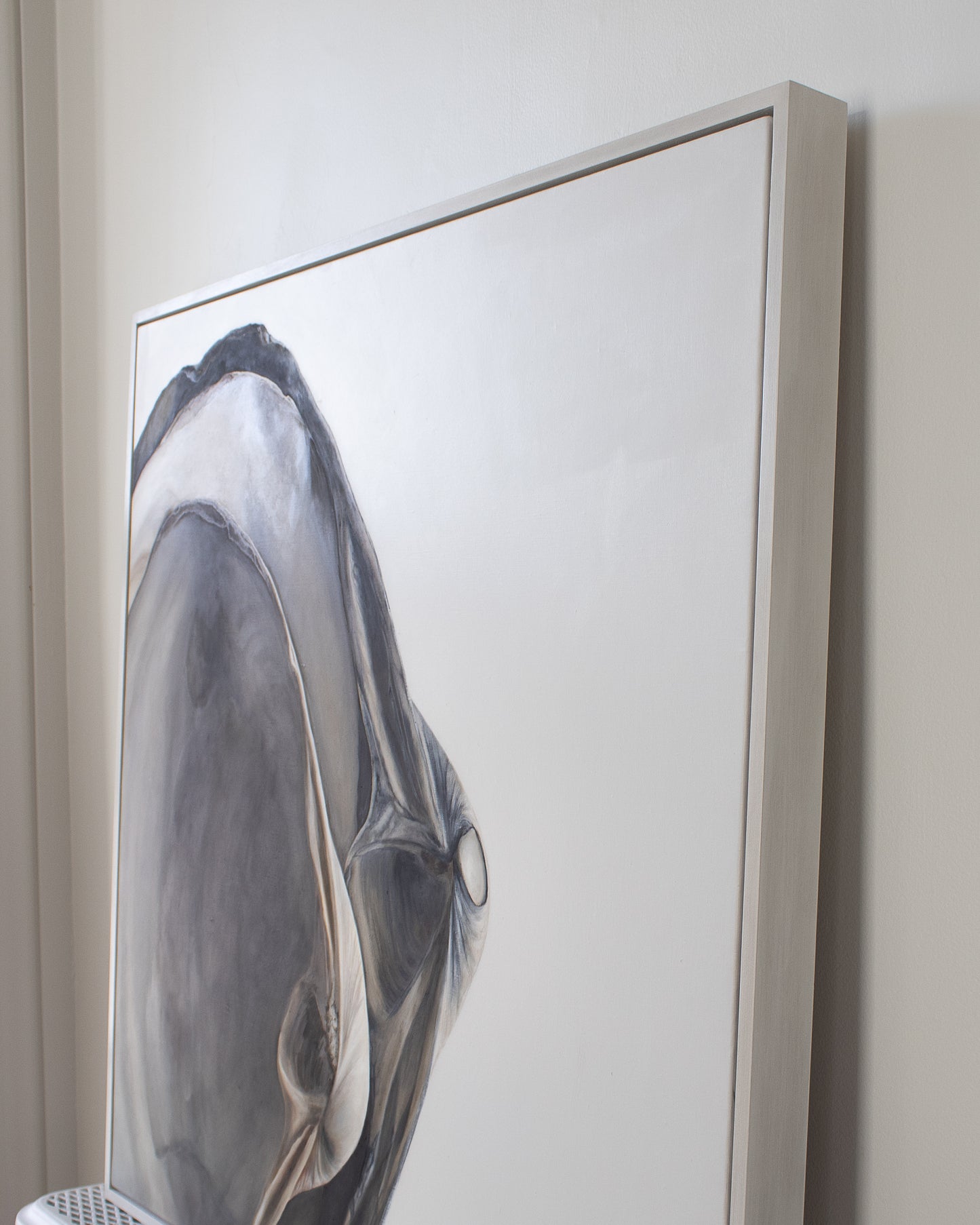 Nested Surf Clams No. 4