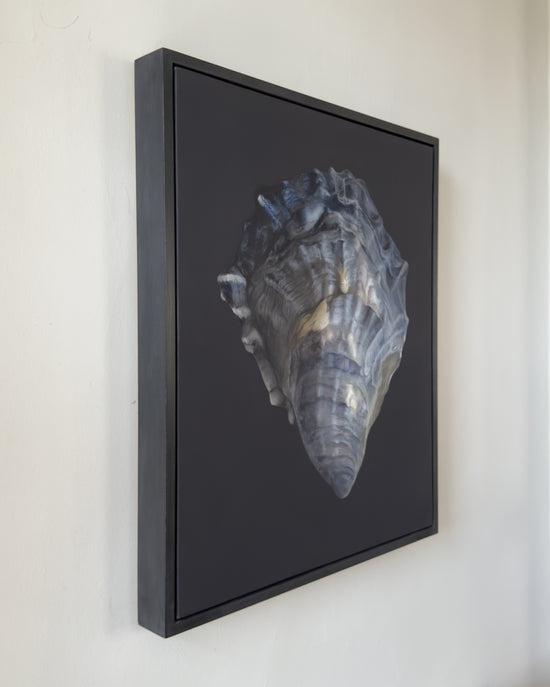 Oyster Shell No. 4