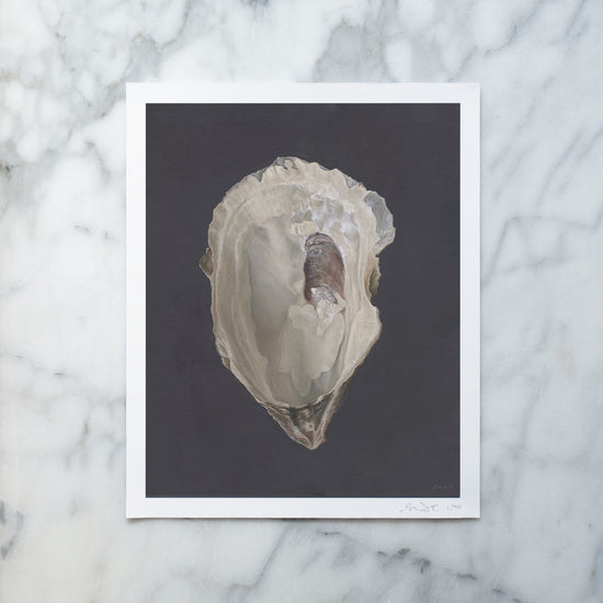 'Oyster Shell' Limited Edition Print