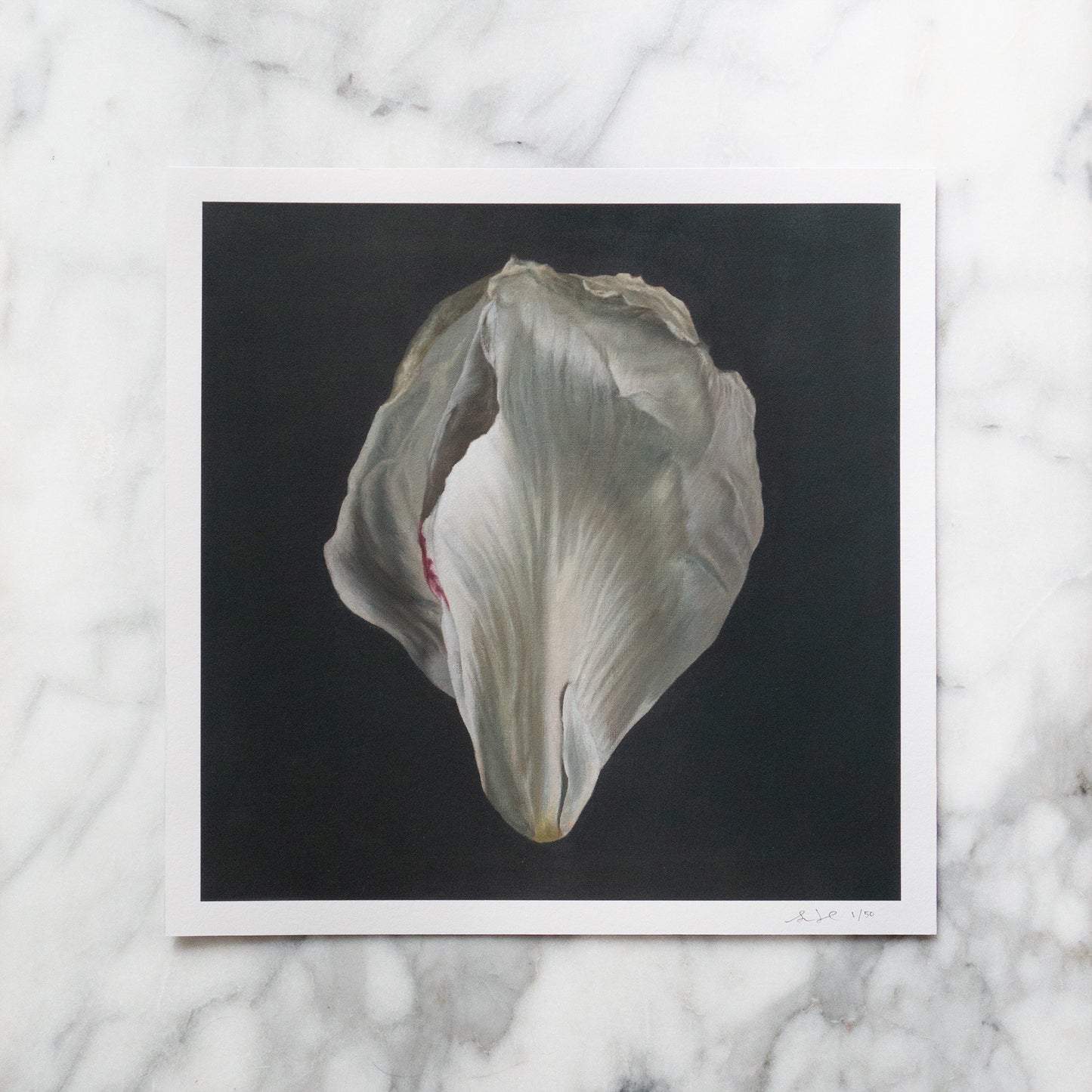 Load image into Gallery viewer, Set of 2 Peony Petals Limited Edition Prints - Dark 1
