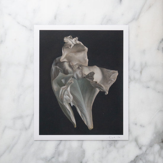 Load image into Gallery viewer, &amp;#39;Peony Petal No. 4&amp;#39; Limited Edition Print
