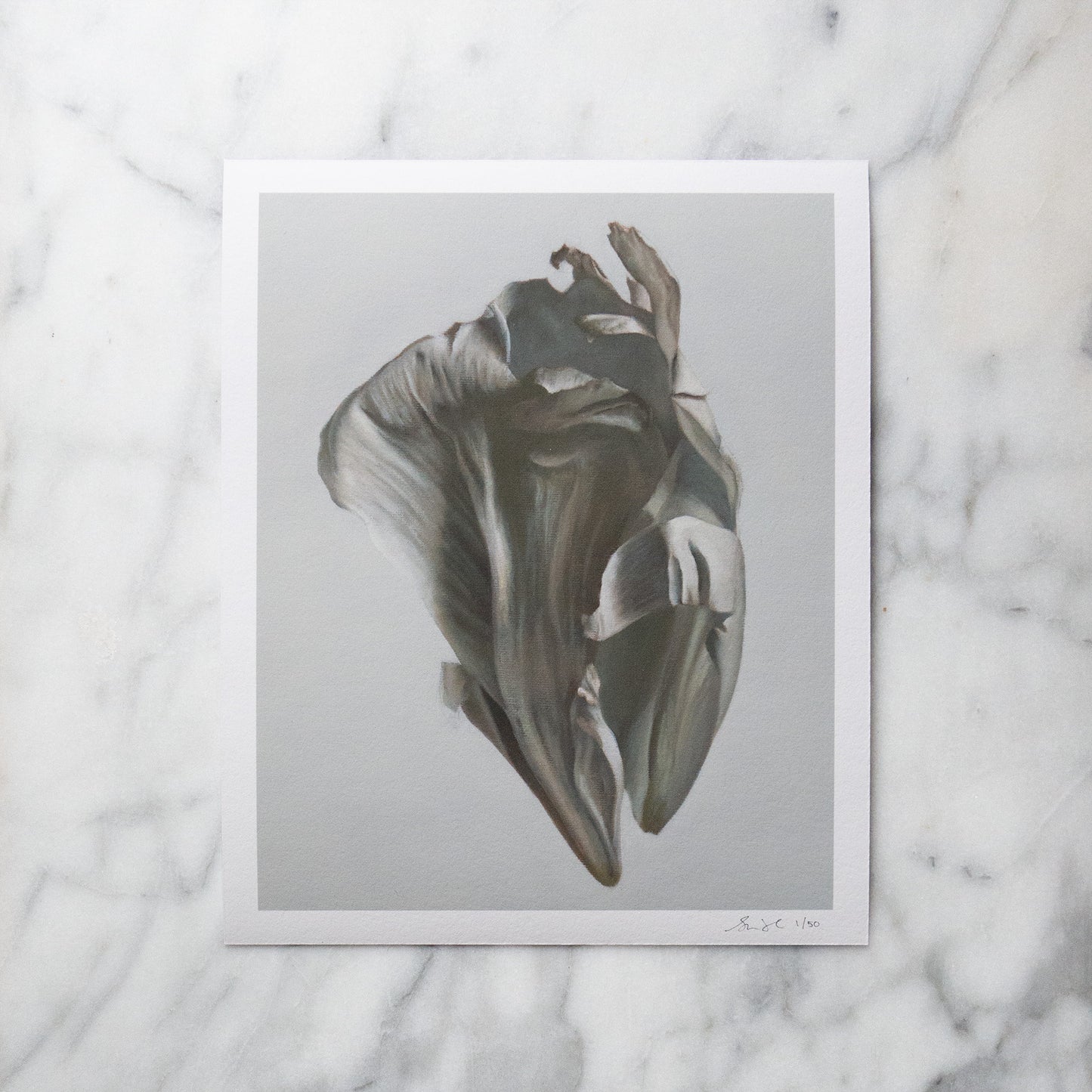 Load image into Gallery viewer, &amp;#39;Peony Petal No. 7&amp;#39; Limited Edition Print
