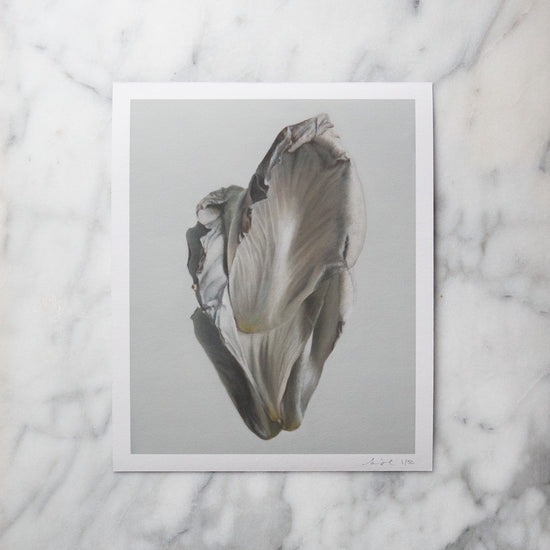 Load image into Gallery viewer, &amp;#39;Peony Petal No. 8&amp;#39; Limited Edition Print
