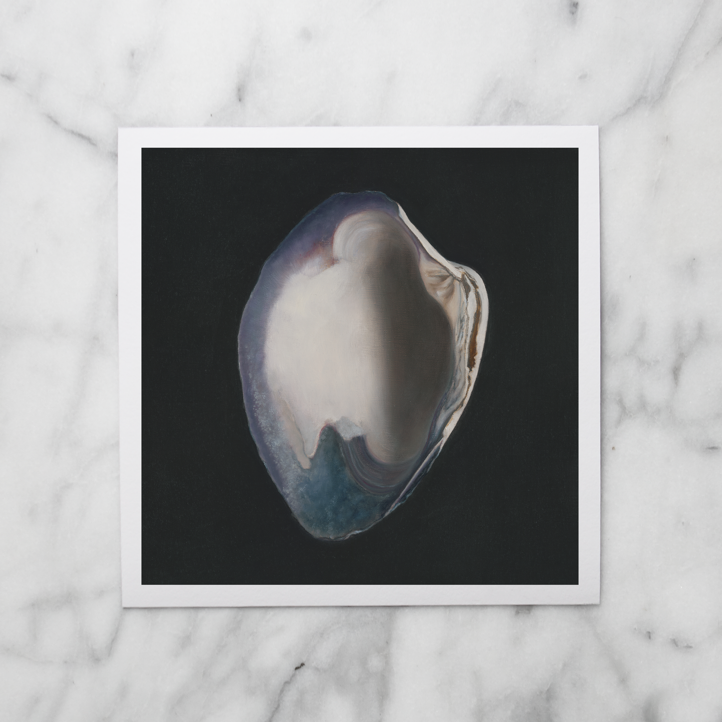 Set of 3 Shell Limited Edition Prints | Version 2