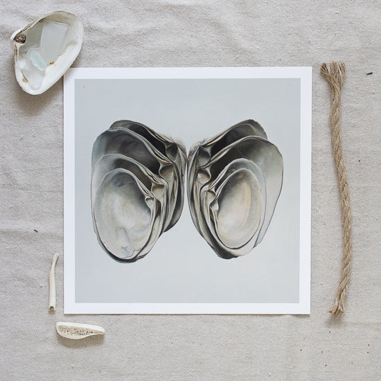 'Winged Surf Clams' Limited Edition Print
