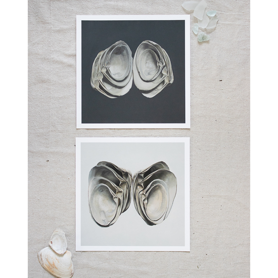 'Winged & Cupped Surf Clams' Limited Edition Print Set
