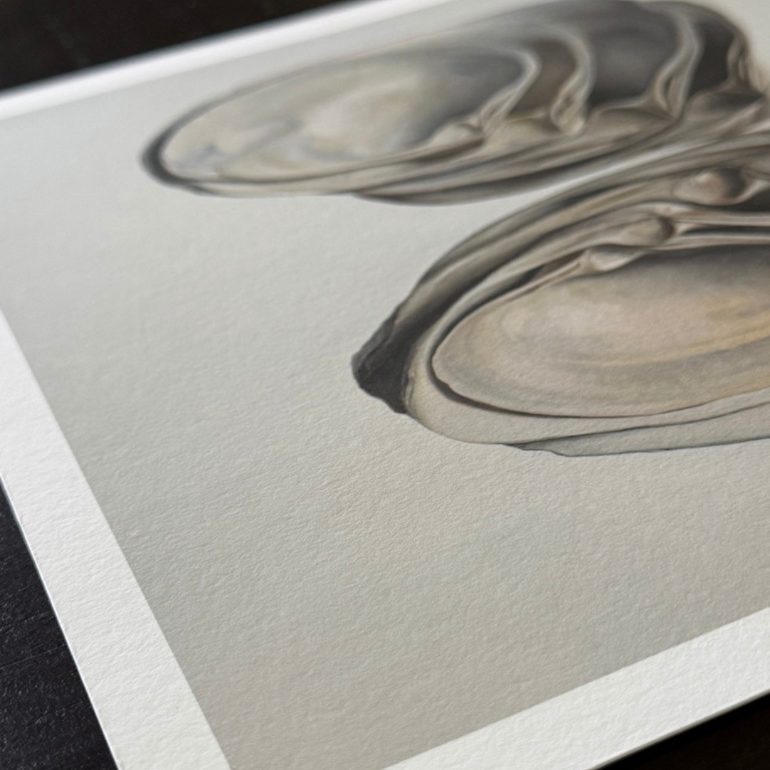 'Winged & Cupped Surf Clams' Limited Edition Print Set