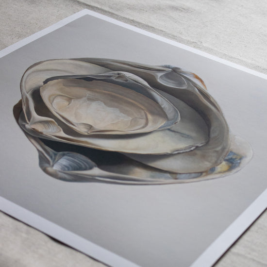 Nested Surf Clams Limited Edition Print