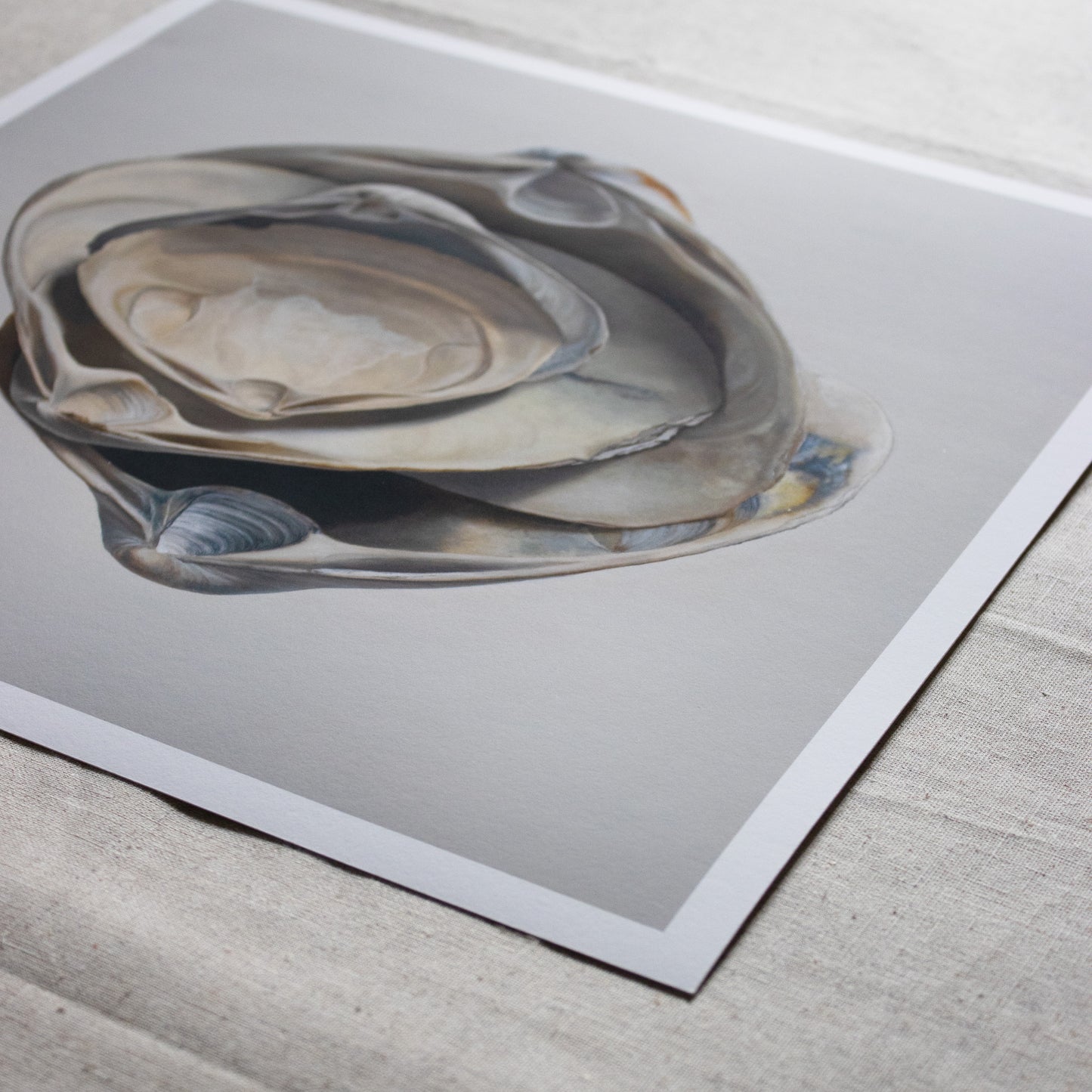 Nested Surf Clams Limited Edition Print