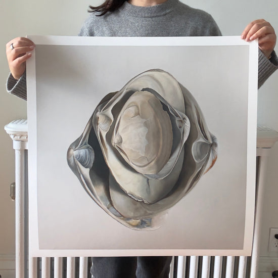 Nested Surf Clams Limited Edition Print