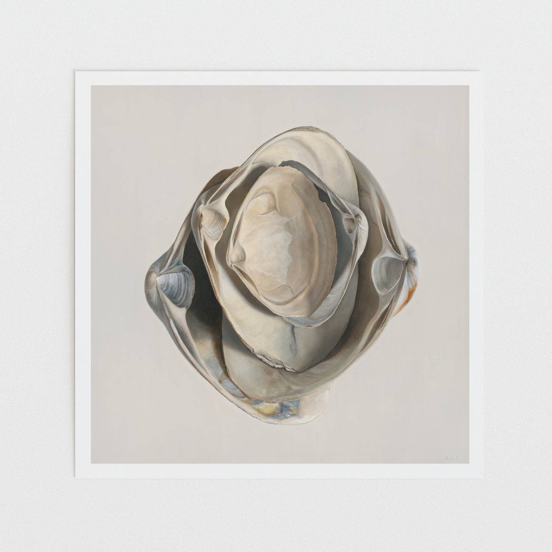 Nested Surf Clams Limited Edition Print