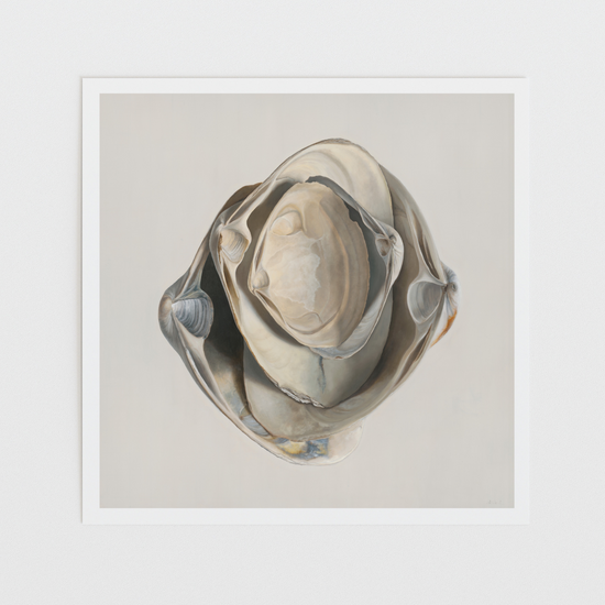 Nested Surf Clams Limited Edition Print