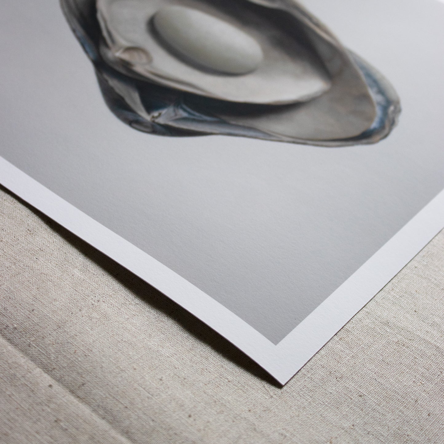 Nested Surf Clams + Stone No. 2 Limited Edition Print