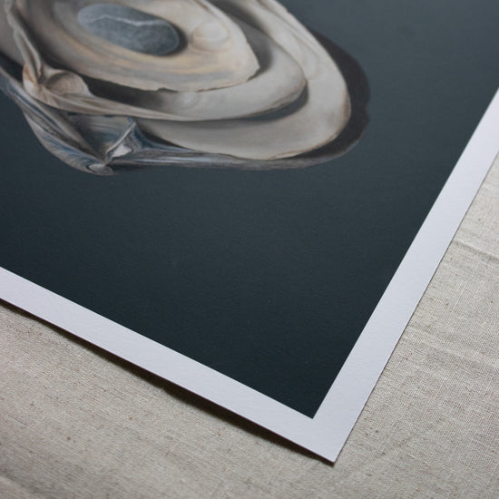 Nested Surf Clams + Stone Limited Edition Print