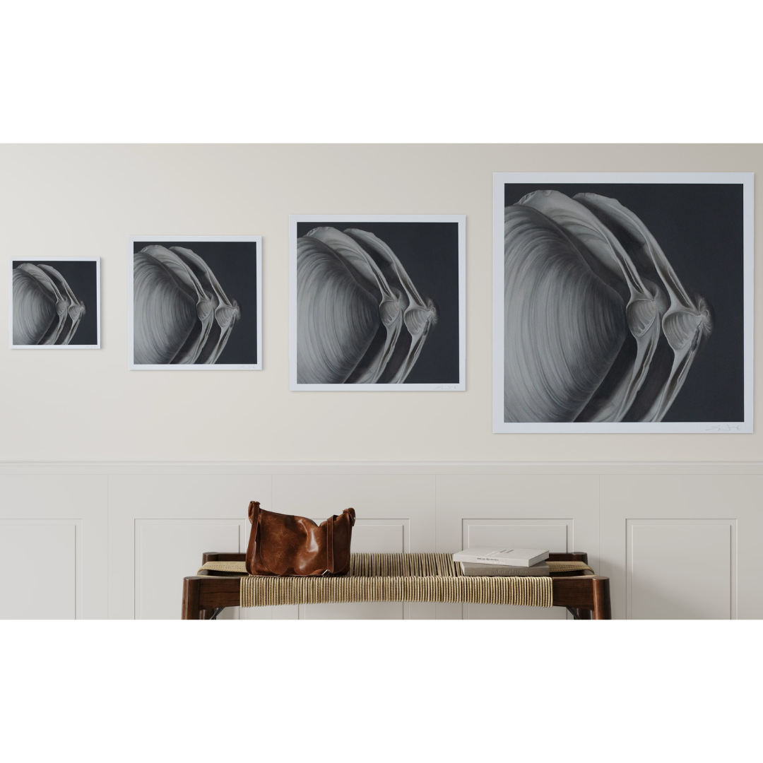 'Overlapping Surf Clams No. 1' Limited Edition Print