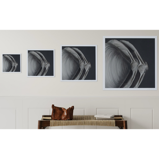 'Overlapping Surf Clams No. 1' Limited Edition Print