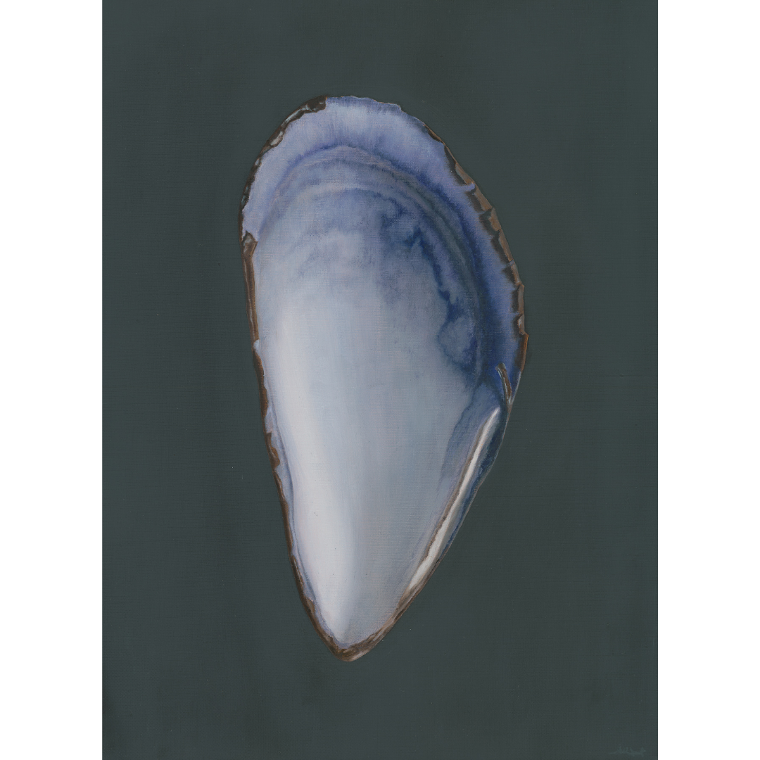 Load image into Gallery viewer, Set of 2 Shell Limited Edition Prints | Mussel Shell &amp;amp; Light Clam Shell No. 2
