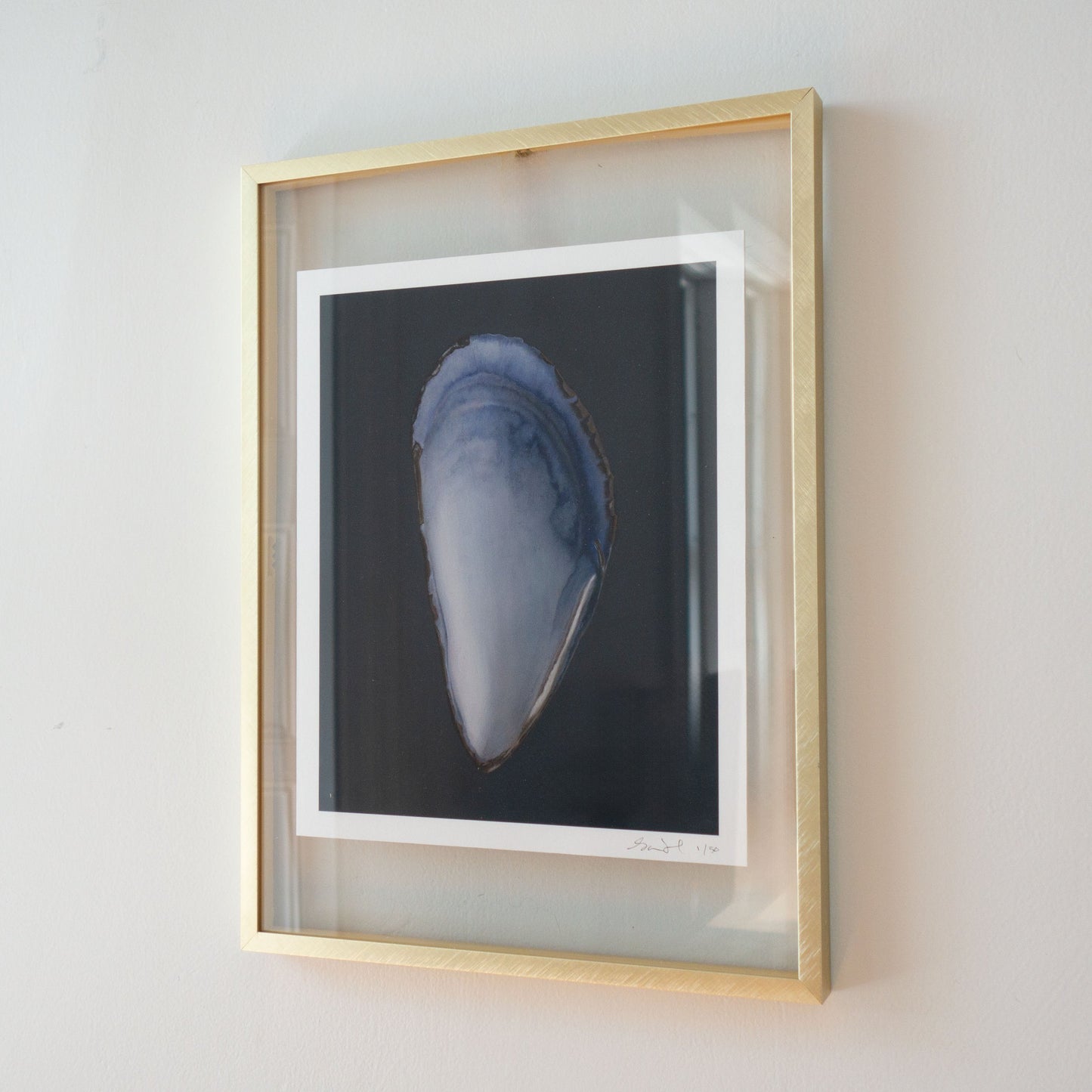 Load image into Gallery viewer, Mussel Shell Limited Edition Print
