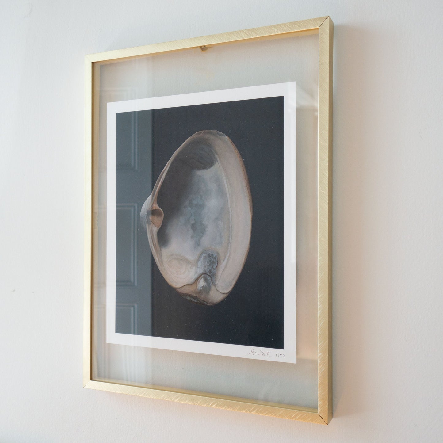 Light Clam Shell No. 2 Limited Edition Print