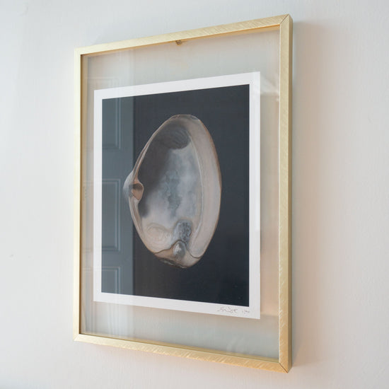Set of 2 Shell Limited Edition Prints | Light Clam Shell No. 2 & Oyster Shell No. 3
